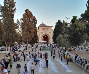 36. Al Masjid Al Aqsa - Iftar Meals